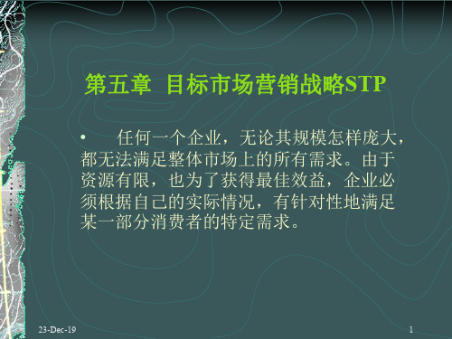 第五章目标市场营销战略