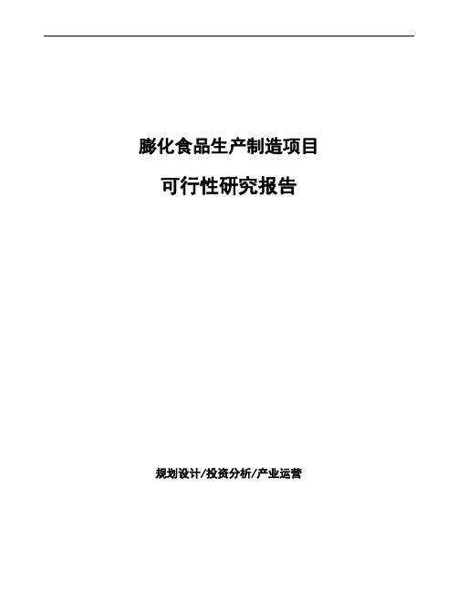 膨化食品生产制造项目可行性研究报告