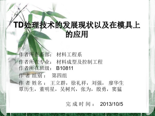 TD处理技术的发展现状以及在模具上的应用