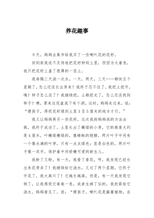 小学三年级作文:养花趣事_432