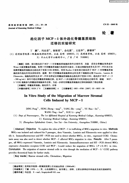 趋化因子MCP-1体外趋化骨髓基质细胞迁移的实验研究