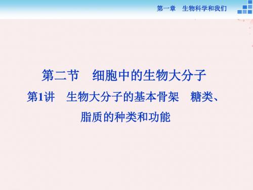 2018-2019学年高中生物 第二章 细胞的化学组成 第二节 细胞中的生物大分子 第1讲 生物大分子的基本骨架 糖.