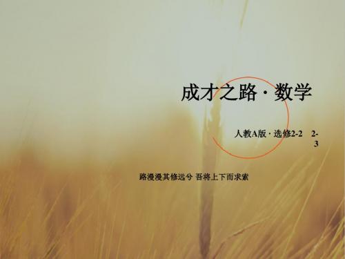2018学年高中数学人教A版选修2-2课件 第1章 导数及其应用1.1.3 精品