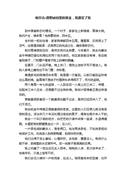 鲍尔吉·原野琥珀里的黄金，我遇见了我