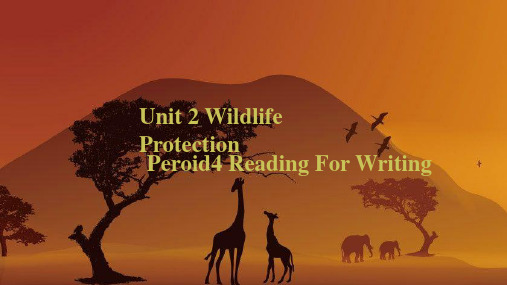 新教材高中英语人教版必修第二册课件UNIT2WILDLIFEPROTECTIONPERIOD4REA