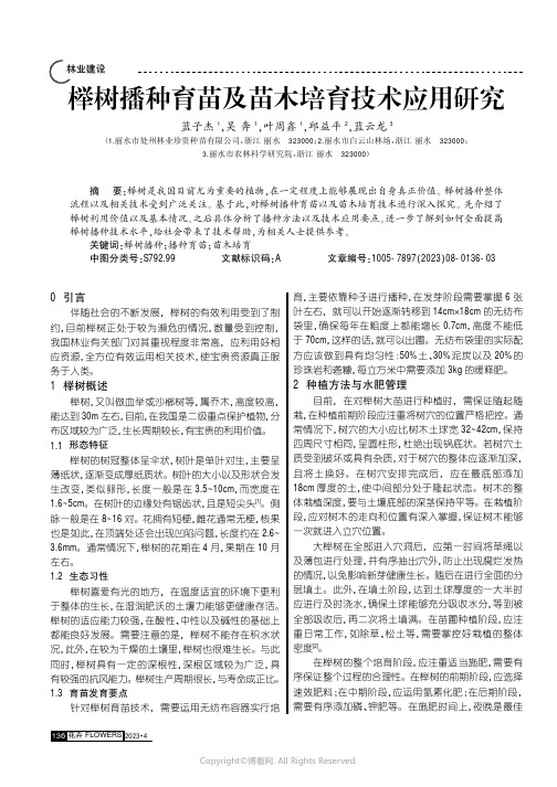 榉树播种育苗及苗木培育技术应用研究