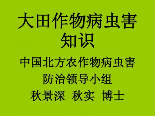 大田作物病虫害演示文稿(秋实)