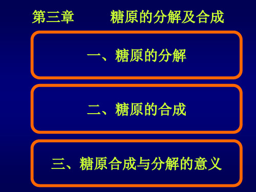 生物化学(2)第三章  糖原的分解及合成