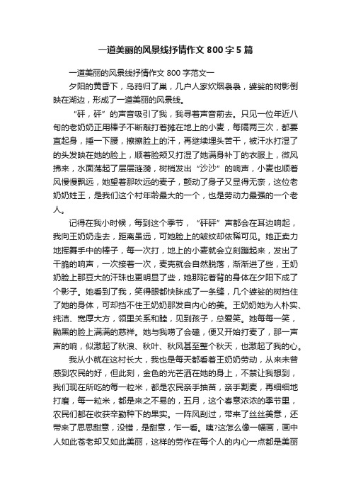 一道美丽的风景线抒情作文800字5篇