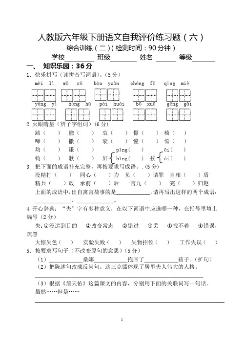 人教版六年级下册语文总复习练习题