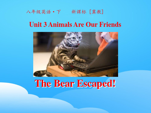 《The Bear Escaped!》Animals Are Our Friends PPT【优秀课件】