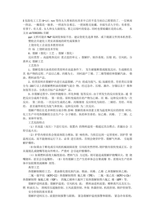 5危险化工工艺(6-14)