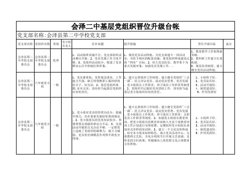 基层党组织整改提高晋位升级工作台帐