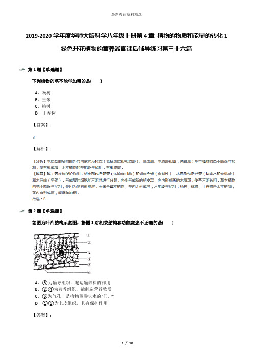 2019-2020学年度华师大版科学八年级上册第4章 植物的物质和能量的转化1 绿色开花植物的营养器官课后辅导练