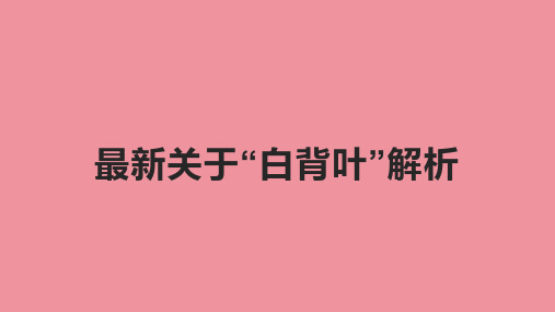 最新关于“白背叶”解析