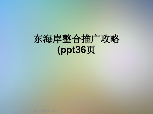 东海岸整合推广攻略(ppt36页