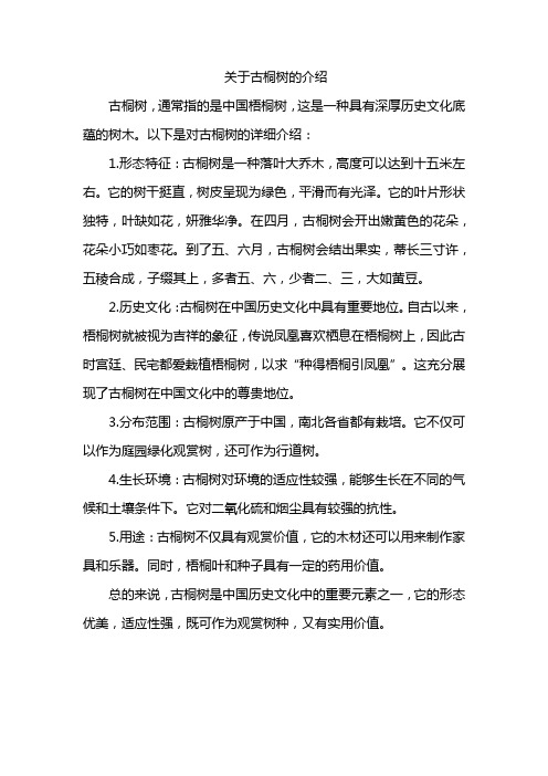 关于古桐树的介绍