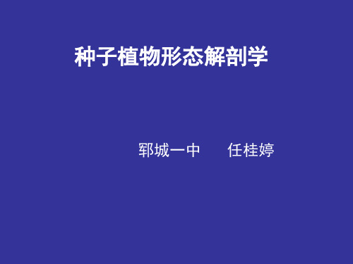 奥赛辅导植物学