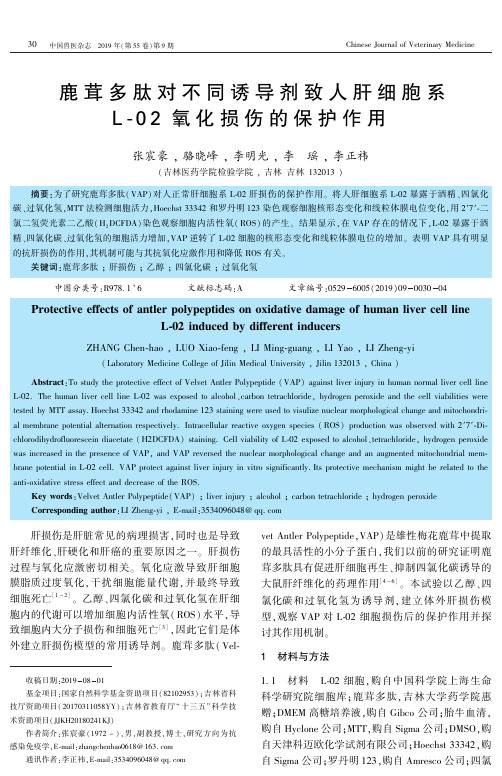 鹿茸多肽对不同诱导剂致人肝细胞系l-02氧化损伤的保护作用