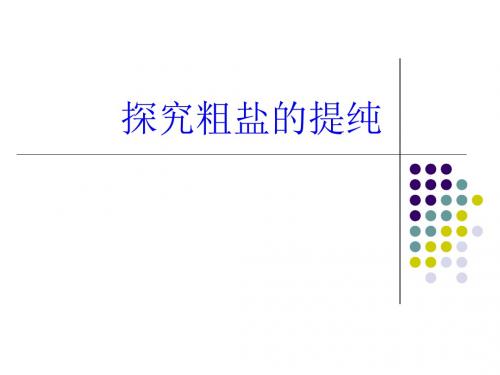 粗盐的提纯-过滤蒸发除杂方案