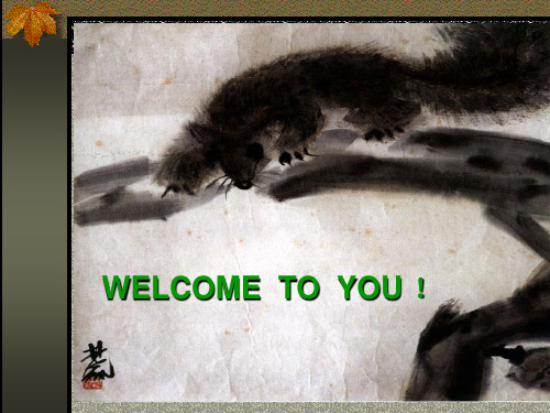 松鼠3