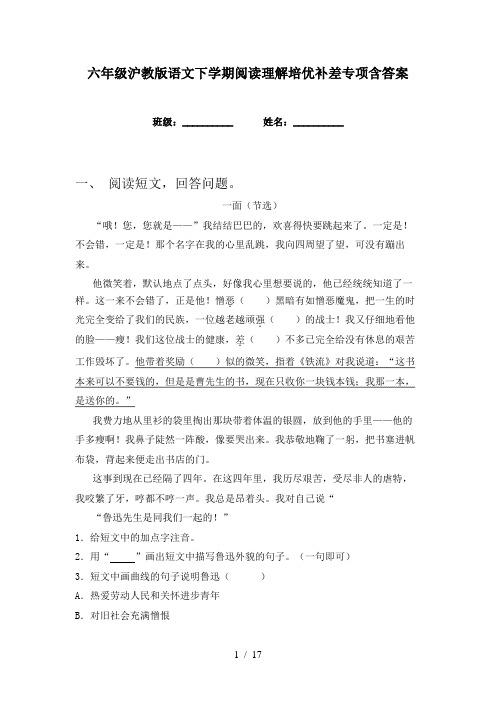 六年级沪教版语文下学期阅读理解培优补差专项含答案