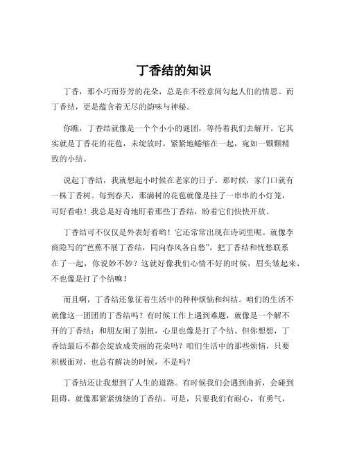 丁香结的知识