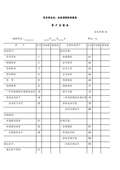 社会团体财务报表