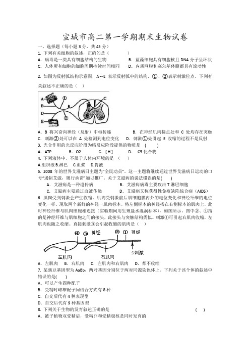 宣城市高二第一学期期末生物试卷17