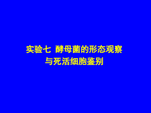 实验七酵母菌的形态观察和死活细胞鉴别