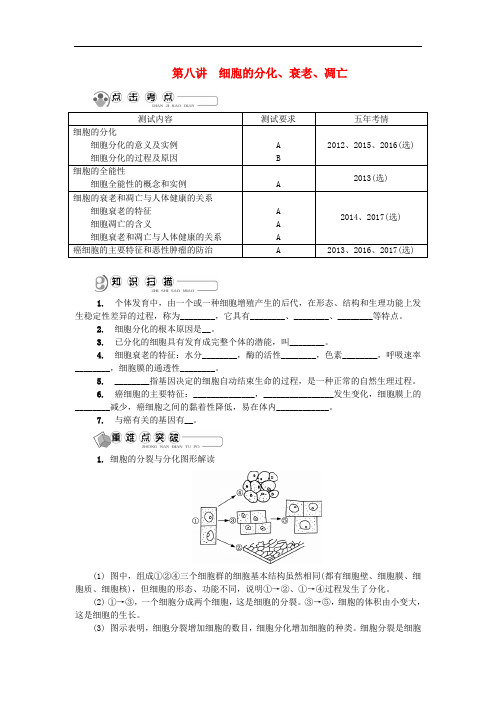 江苏省高中生物 第八讲 细胞的分化、衰老、凋亡学案 苏教版必修1