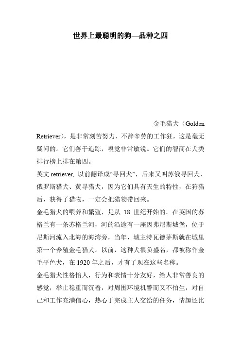 世界上最聪明的狗—品种之四