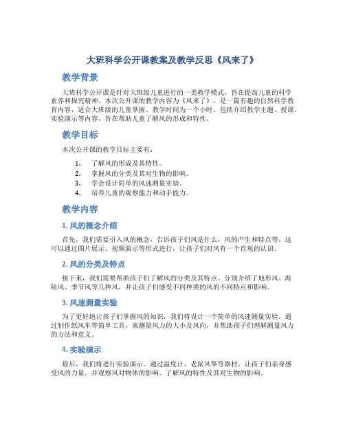 大班科学公开课教案及教学反思《风来了》