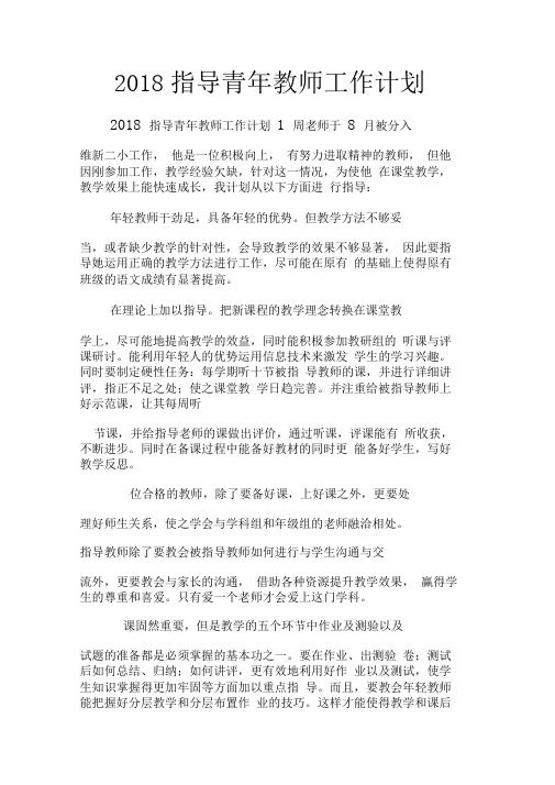 2018指导青年教师工作计划