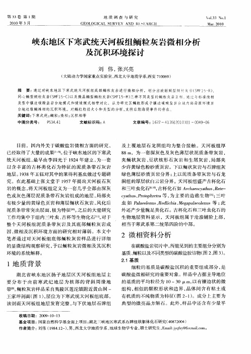 峡东地区下寒武统天河板组鲕粒灰岩微相分析及沉积环境探讨