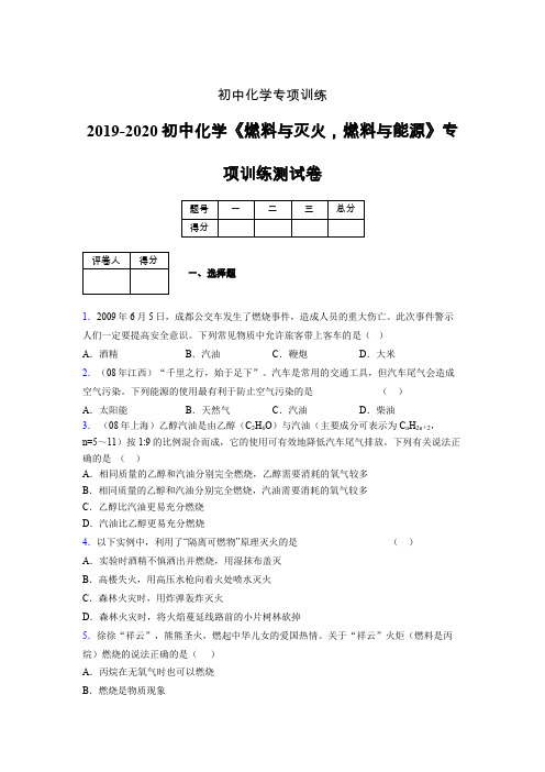 2019-2020学年初中化学《燃料与灭火,燃料与能源》专项训练模拟测试(含答案) (442)