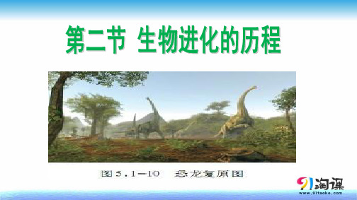 课件2：7.3.2生物进化的历程