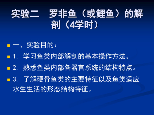 实验二罗非鱼(或鲤鱼)的解剖