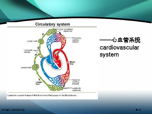 血液循环心脏的泵血功能