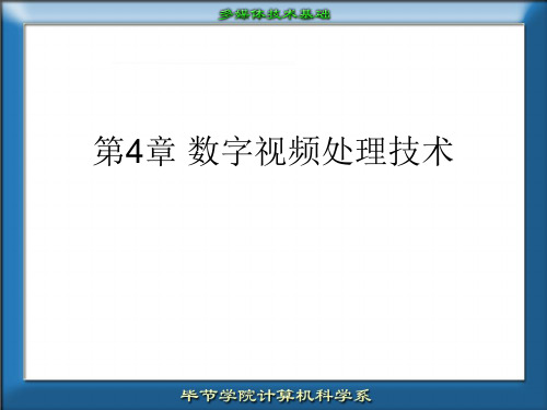 视频数字信息处理技术