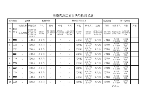 钢结构涂料表面缺陷记录