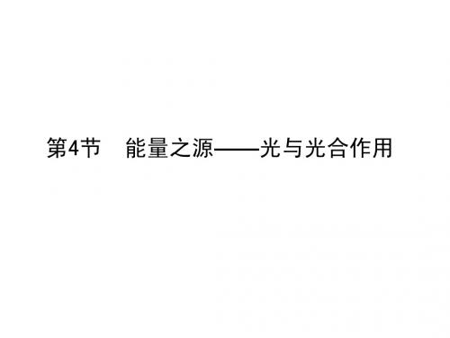 人教版教学课件2011届生物高考一轮复习课件：必修1 第5章 第4节 能量之源—光与光合作用ppt