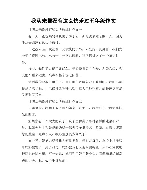 我从来都没有这么快乐过五年级作文