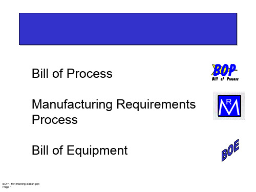 通用汽车BOE、BOP-PPT精品文档54页