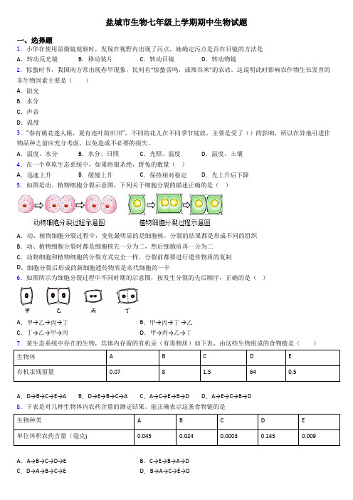 盐城市生物七年级上学期期中生物试题