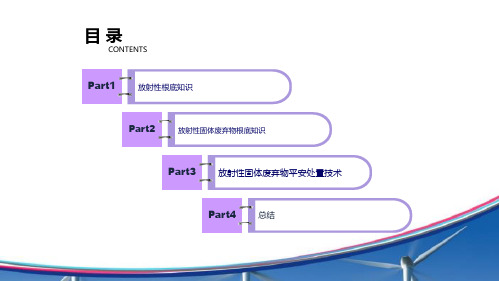 放射性固体废弃物的处理(共31张PPT)