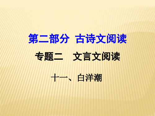 2018中考语文文言文阅读:《白洋潮》复习课件 (共13张PPT)
