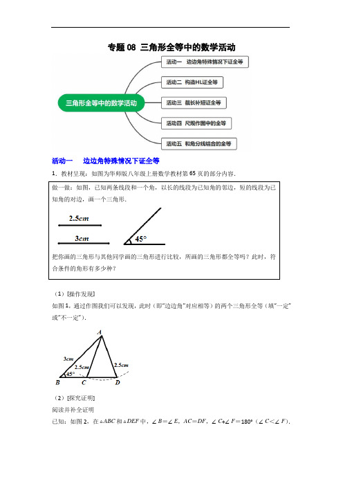 专题08 三角形全等中的数学活动(解析版)