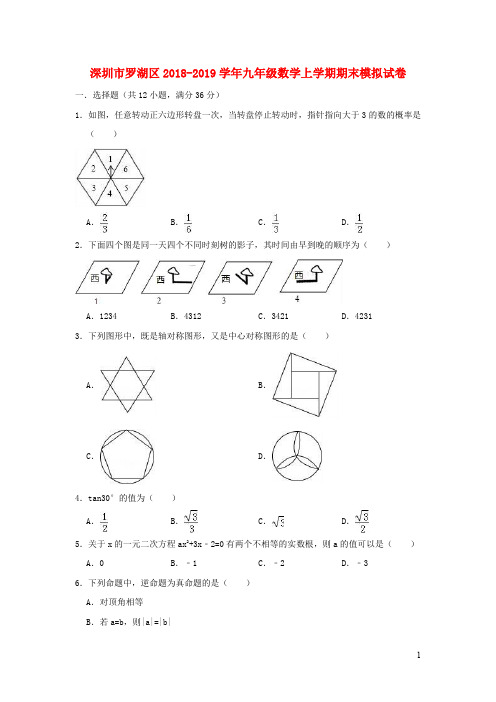 广东省深圳市罗湖区2018_2019学年九年级数学上学期期末模拟试卷20191025116