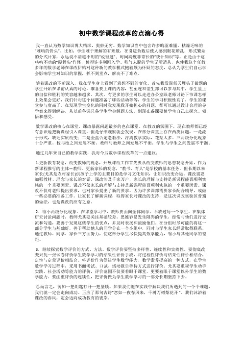 初中数学课程改革的点滴心得